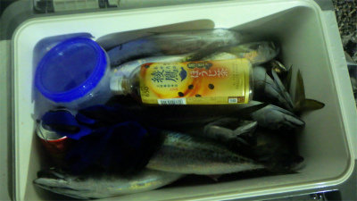 アジ(マアジ)・サバ(ゴマサバ)