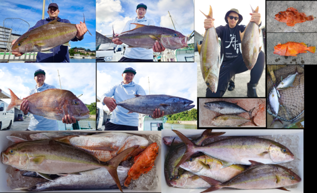 カンパチ・ハガツオ