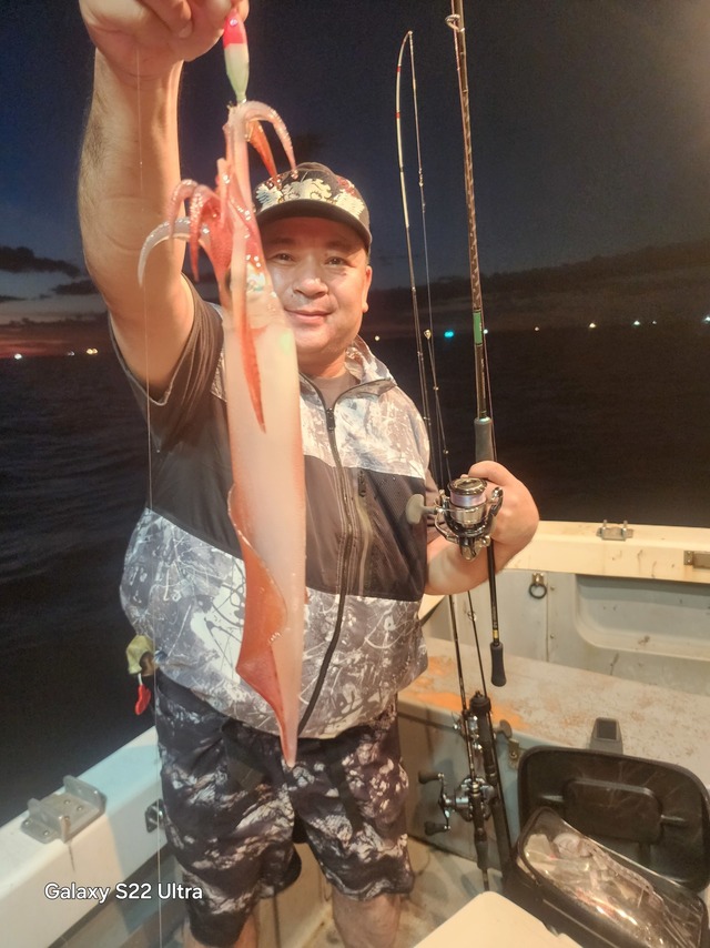 ケンサキ(ケンサキイカ)