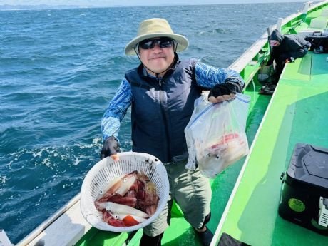 マルイカ(ケンサキイカ)