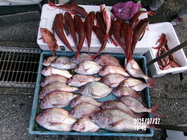 マダイ・カサゴ・ホウボウ・マダコ