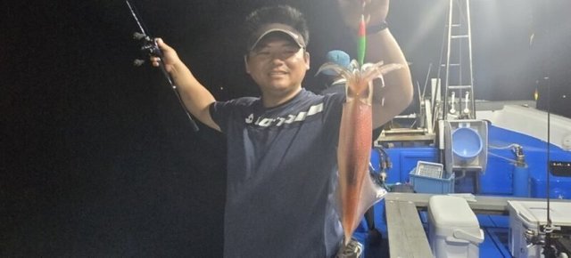 アカイカ(ケンサキイカ)