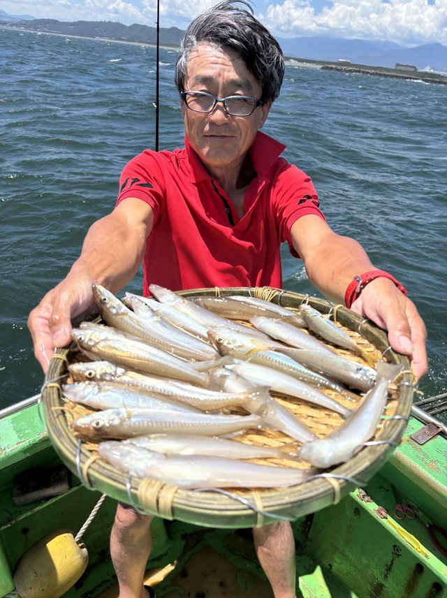 キス(シロギス)