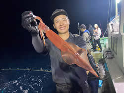 アカイカ(ケンサキイカ)