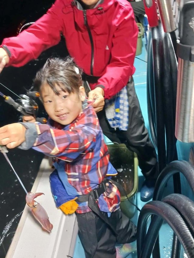 イカ(ヤリイカ)