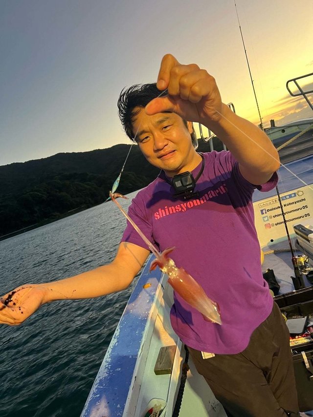 ムギイカ(スルメイカ)