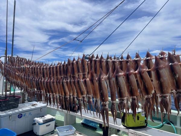 スルメ(スルメイカ)