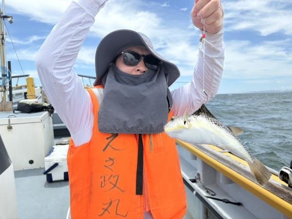 ショウサイフグ