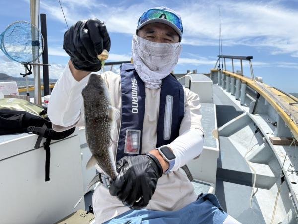 ショウサイフグ