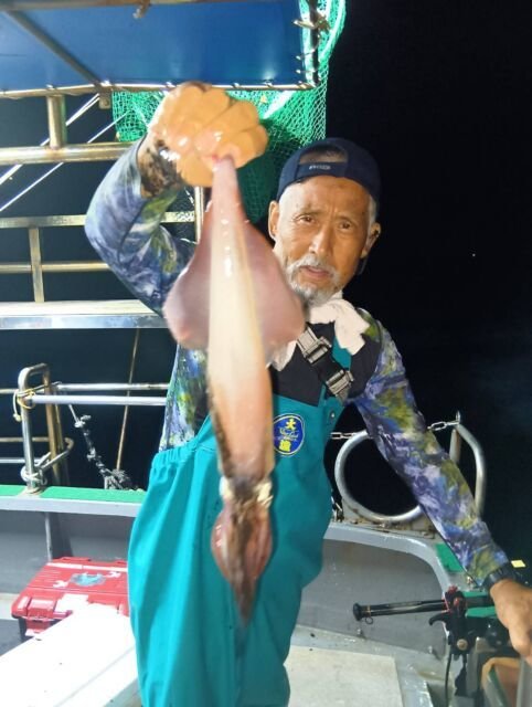 イカ(ヤリイカ)