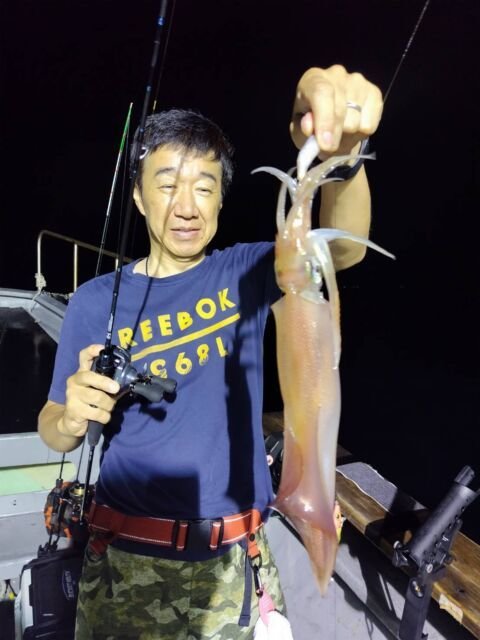 イカ(ヤリイカ)