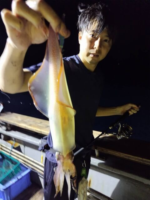 イカ(ヤリイカ)