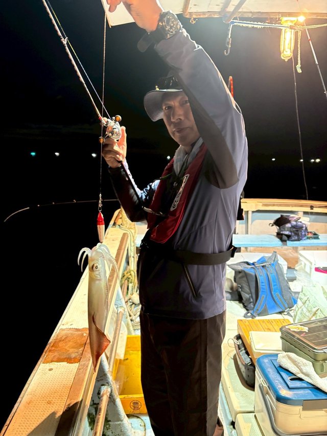 マイカ(ケンサキイカ)