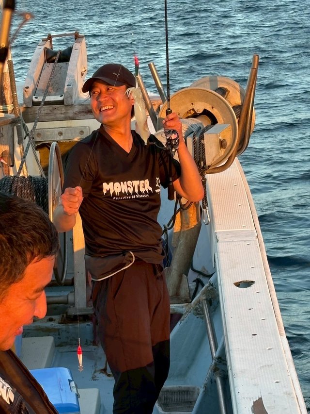 マイカ(ケンサキイカ)