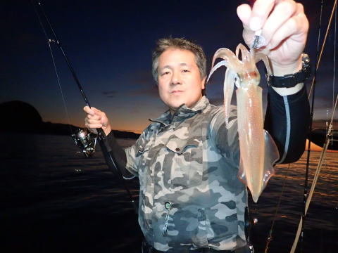 シロイカ(ケンサキイカ)