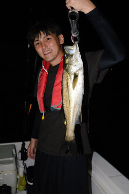 シーバス(スズキ)