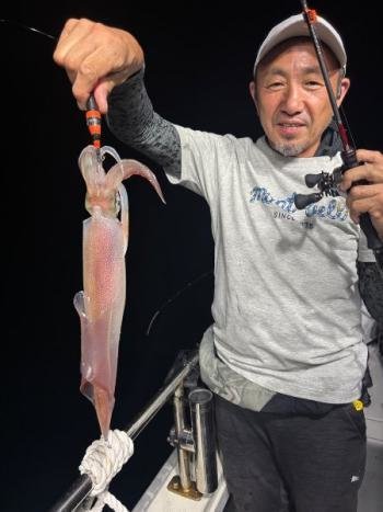 マイカ(ケンサキイカ)