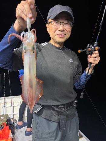 マイカ(ケンサキイカ)