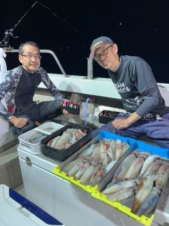 マイカ(ケンサキイカ)