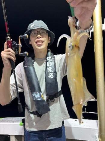 マイカ(ケンサキイカ)