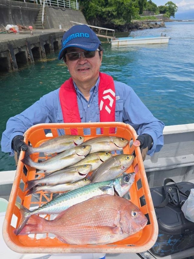 マダイ・イサキ・サバ(ゴマサバ)