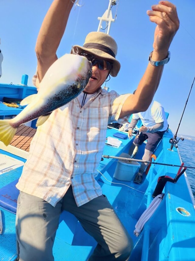 フグ(ショウサイフグ)