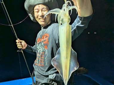 マイカ(ケンサキイカ)