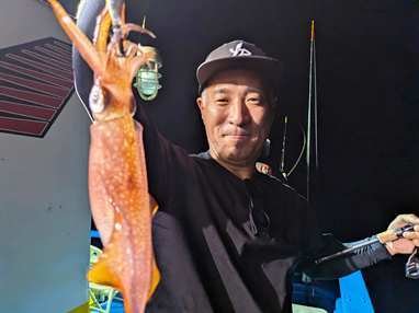 マイカ(ケンサキイカ)