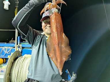 マイカ(ケンサキイカ)