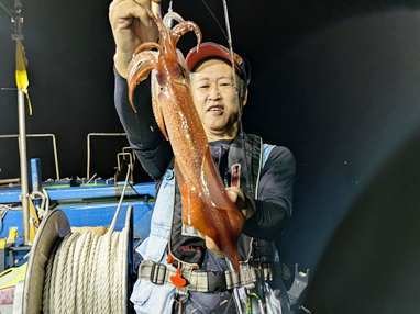 マイカ(ケンサキイカ)