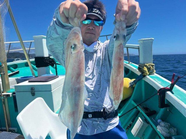 マルイカ(ケンサキイカ)