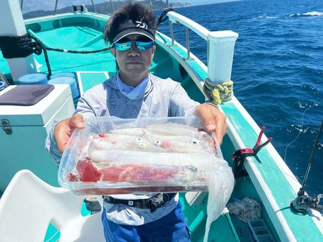 マルイカ(ケンサキイカ)