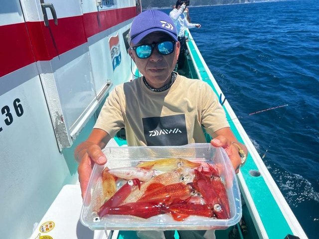 マルイカ(ケンサキイカ)