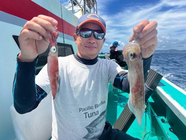 マルイカ(ケンサキイカ)