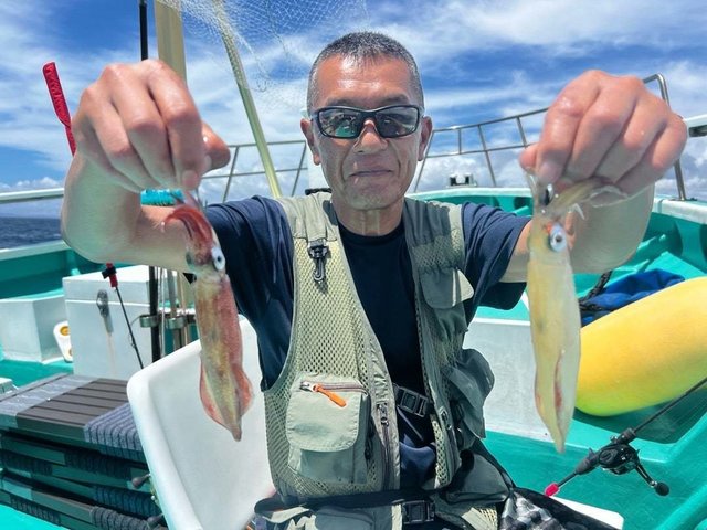 マルイカ(ケンサキイカ)