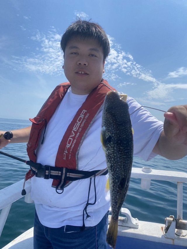 ショウサイフグ