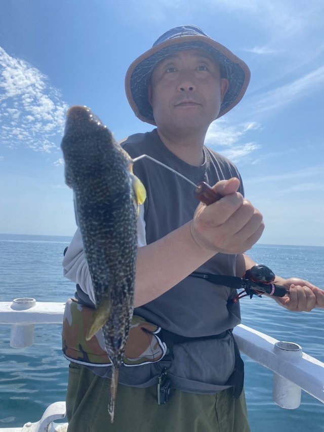 ショウサイフグ