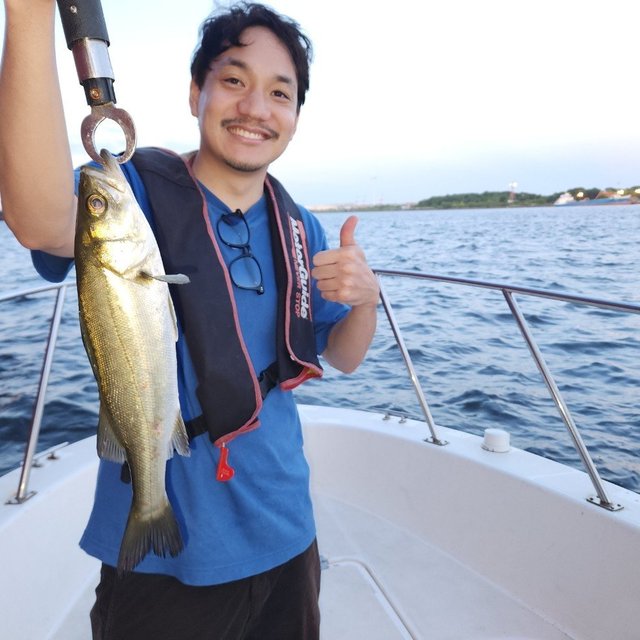 シーバス(スズキ)