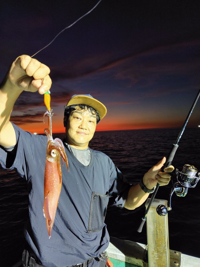 シロイカ(ケンサキイカ)