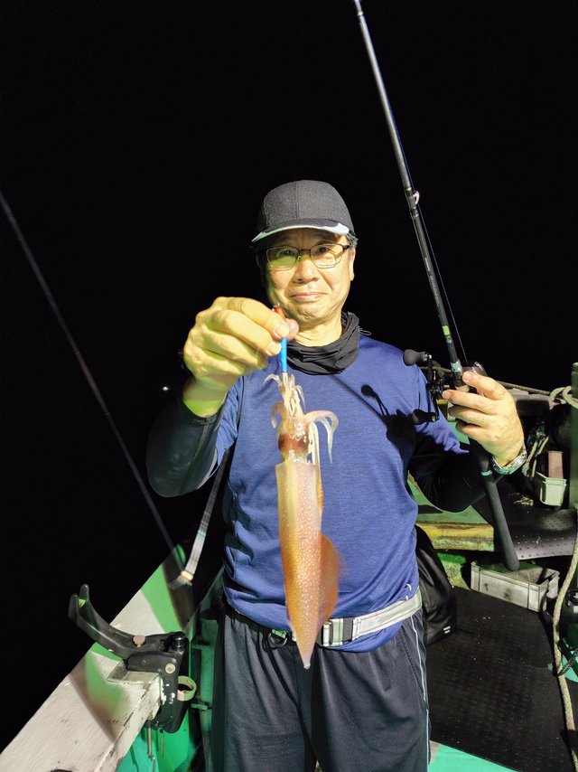 シロイカ(ケンサキイカ)