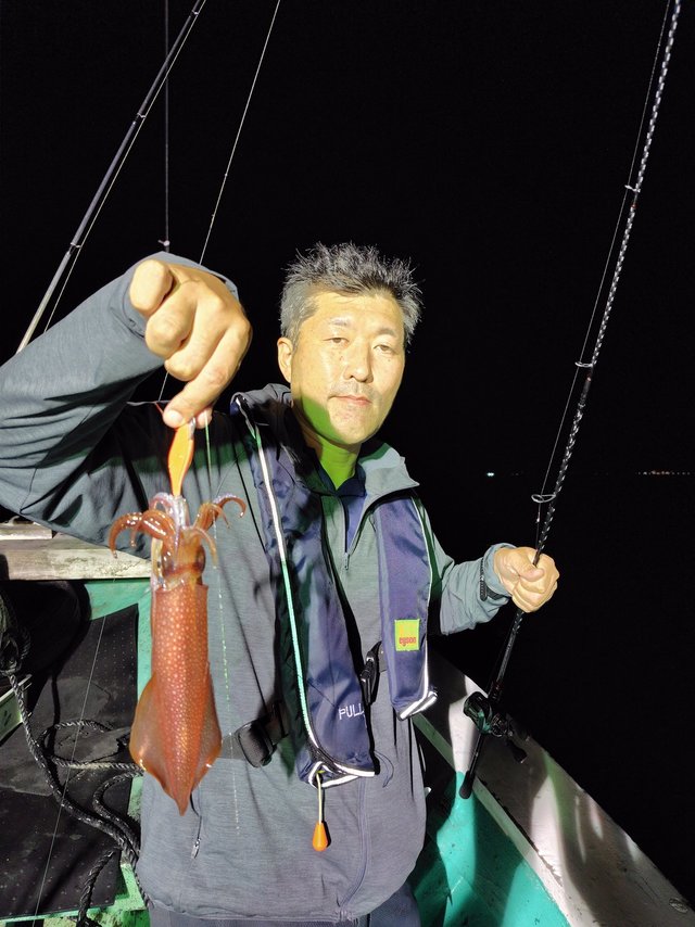 シロイカ(ケンサキイカ)