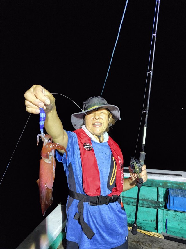 シロイカ(ケンサキイカ)