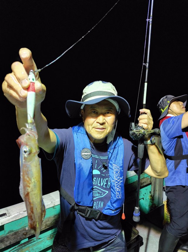 シロイカ(ケンサキイカ)