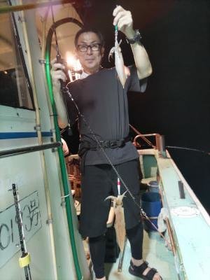 マイカ(ケンサキイカ)