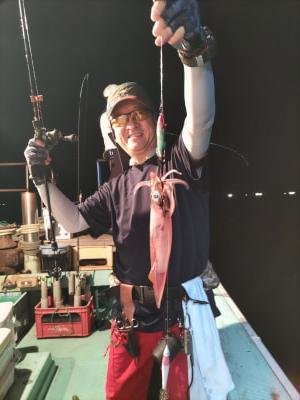 マイカ(ケンサキイカ)