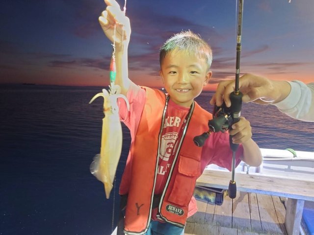 マイカ(ケンサキイカ)