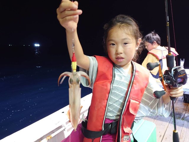 マイカ(ケンサキイカ)