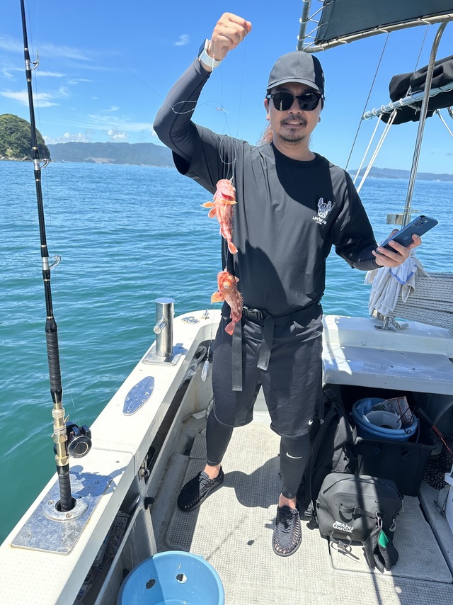 ガシラ(カサゴ)