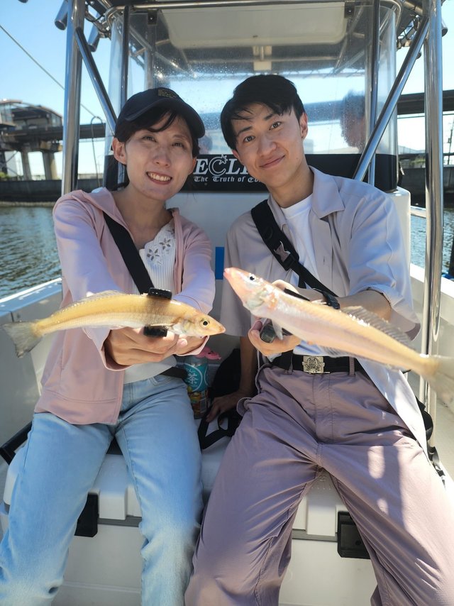 キス(シロギス)