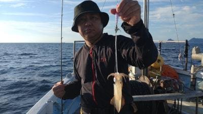 マイカ(ケンサキイカ)